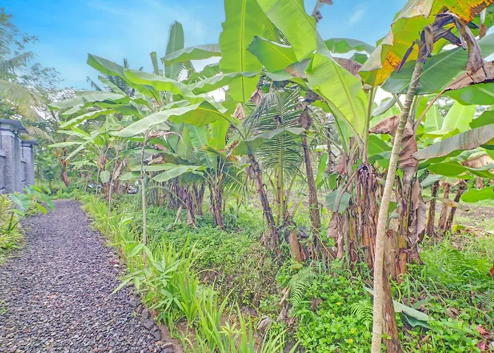 Hotel Oyo 94782 Loka Loka Ubud